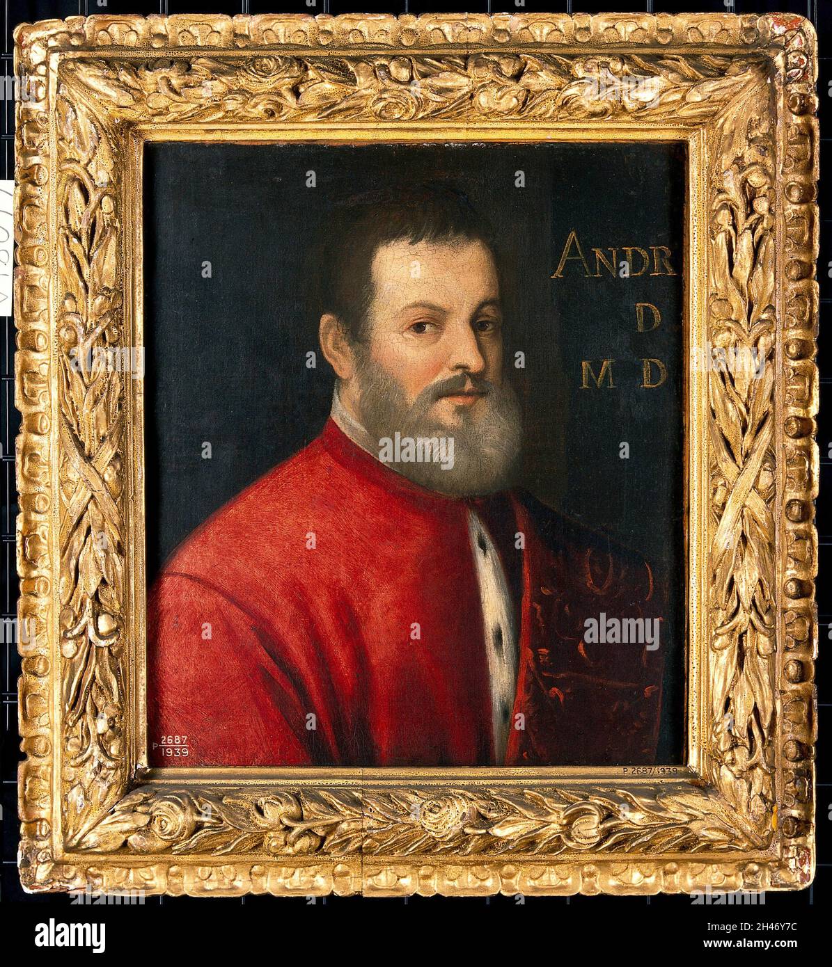 Un homme a été désigné comme Andreas Vesalius (1514-1564), anatomiste.Peinture à l'huile par un disciple d'un peintre vénitien, XVIe siècle. Banque D'Images