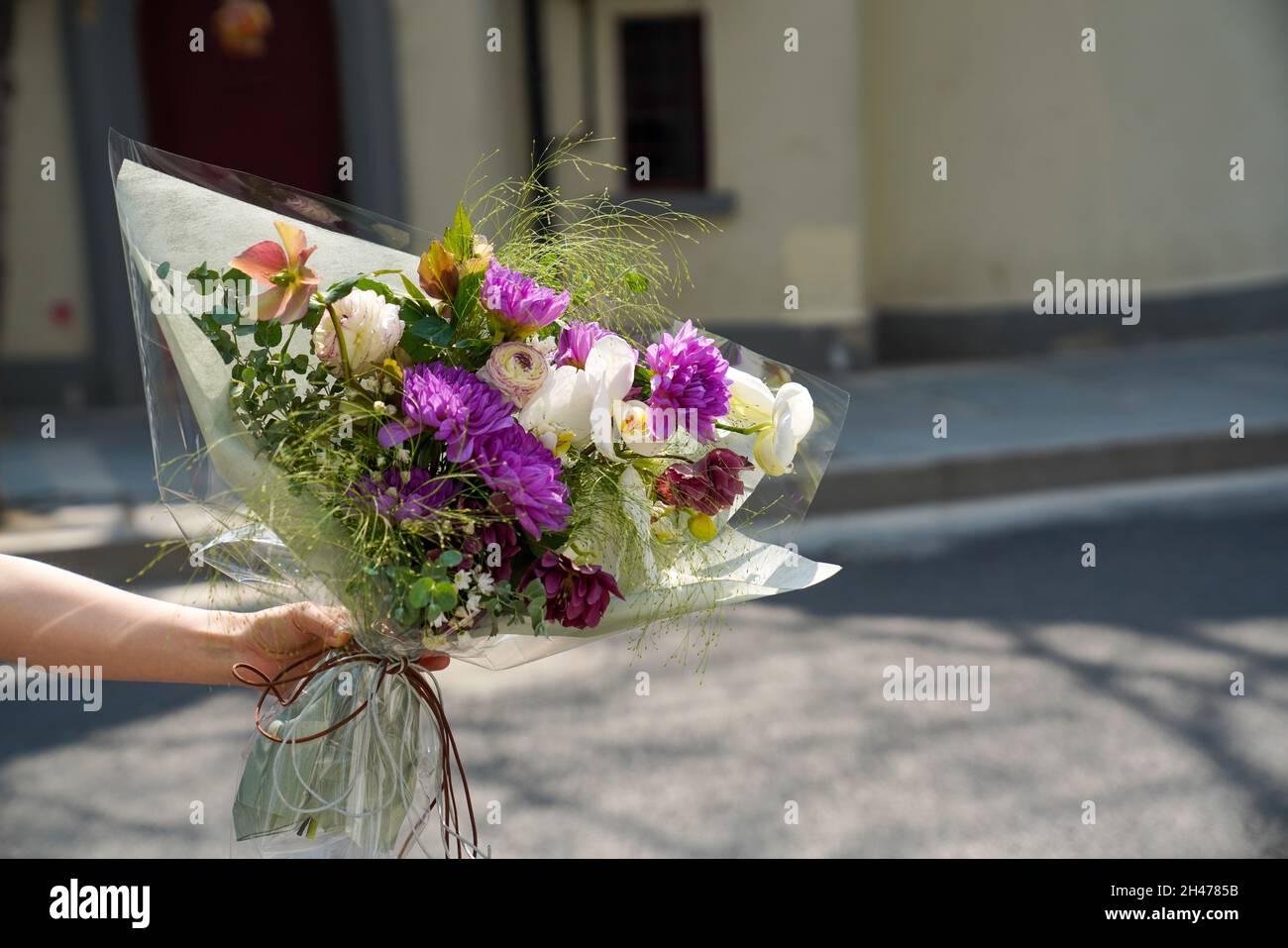 Aménagement créatif de fleurs et de feuilles.Le concept de la nature.Une carte avec des fleurs.Arrière-plan de fleur coloré et espace de texte. Banque D'Images