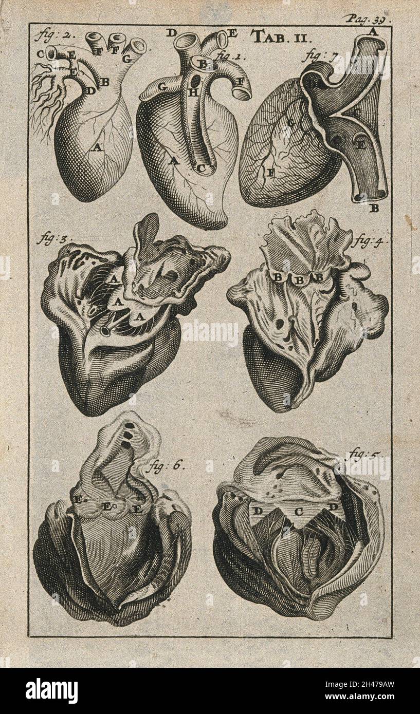 L'anatomie du cœur.Gravure, 1686. Banque D'Images