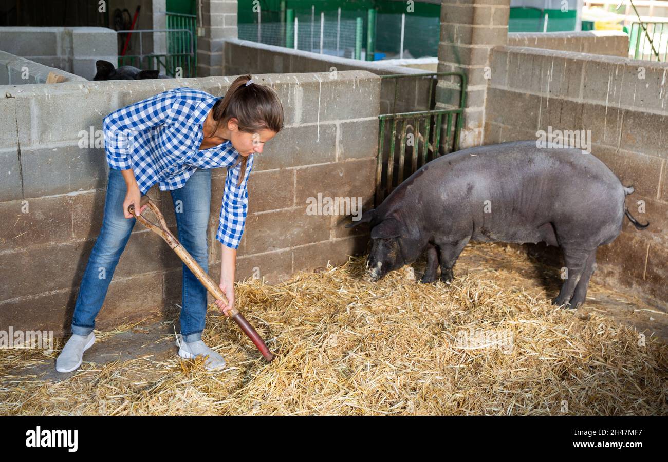 Femme fermier debout avec râteau en pigsty.Photo de haute qualité Banque D'Images