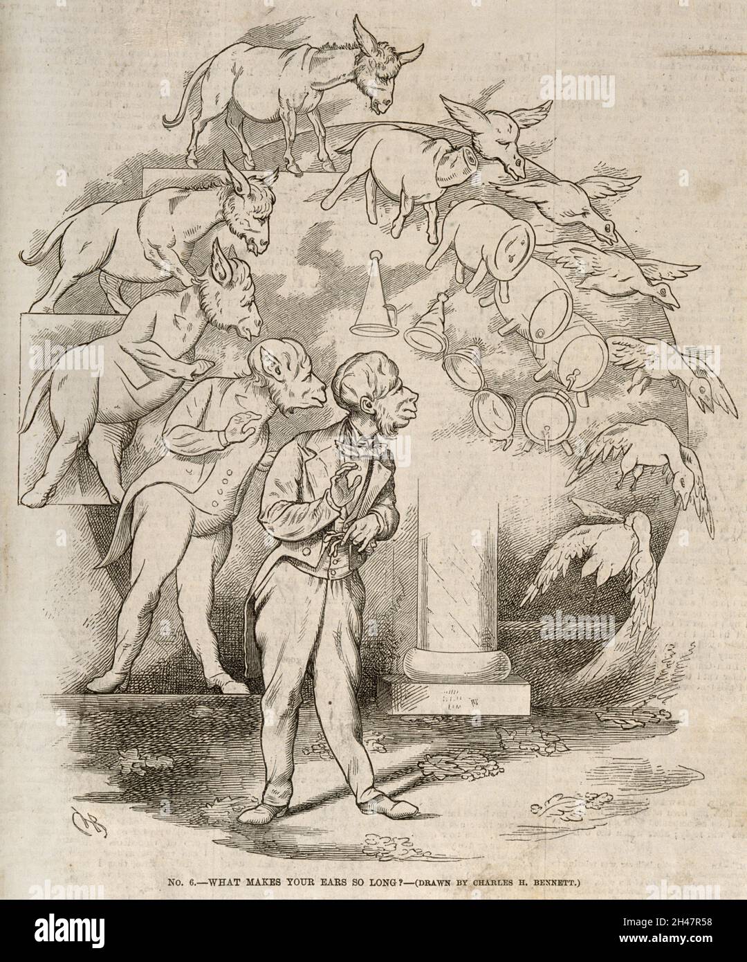 L'évolution d'un baril et d'une oie en âne en un homme portant des queues, représentant les théories de Darwin.Gravure de bois d'après C. Bennett, 1863. Banque D'Images