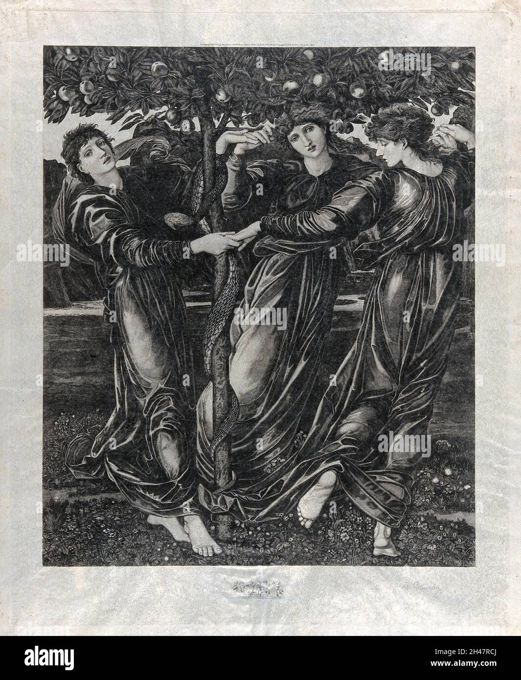 Trois déesses dansent autour de l'arbre de la connaissance.Gravure de J. Payrau, 1901, d'après E. Burne-Jones. Banque D'Images