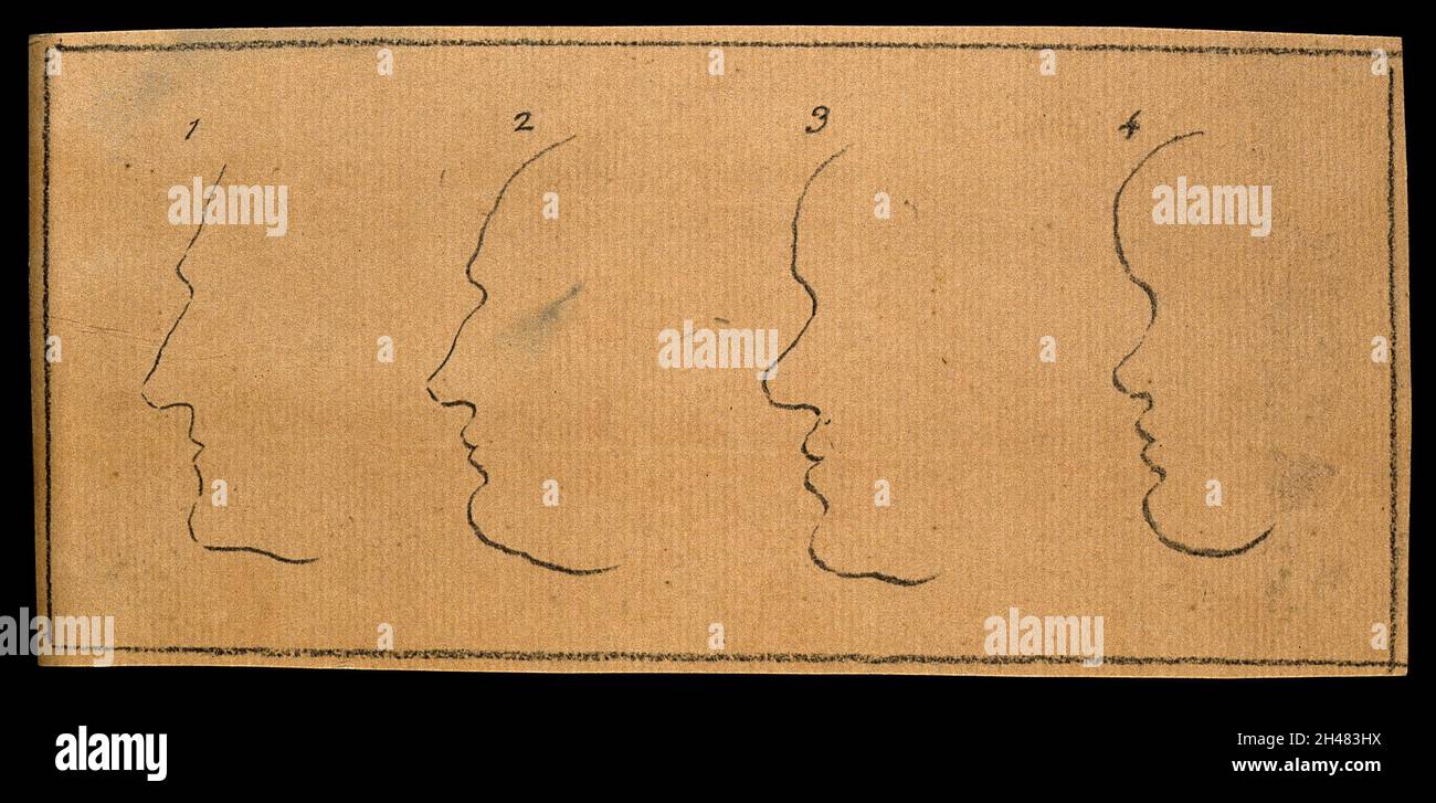 Contours des visages : la paire gauche exprimant le bon jugement, la paire droite la faiblesse de l'esprit.Dessin, c.1789. Banque D'Images