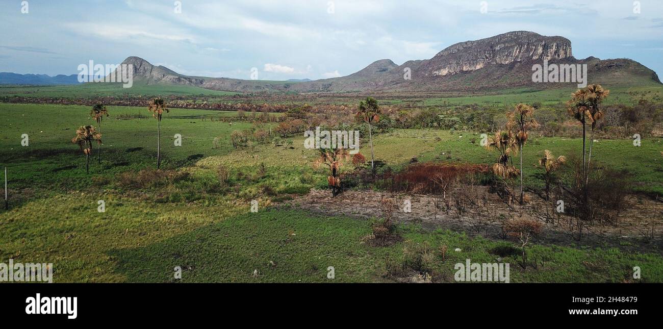 Magnifique paysage naturel connu sous le nom de Jardim de Maytrea dans le parc national de Chapada dos Veadeiros Banque D'Images