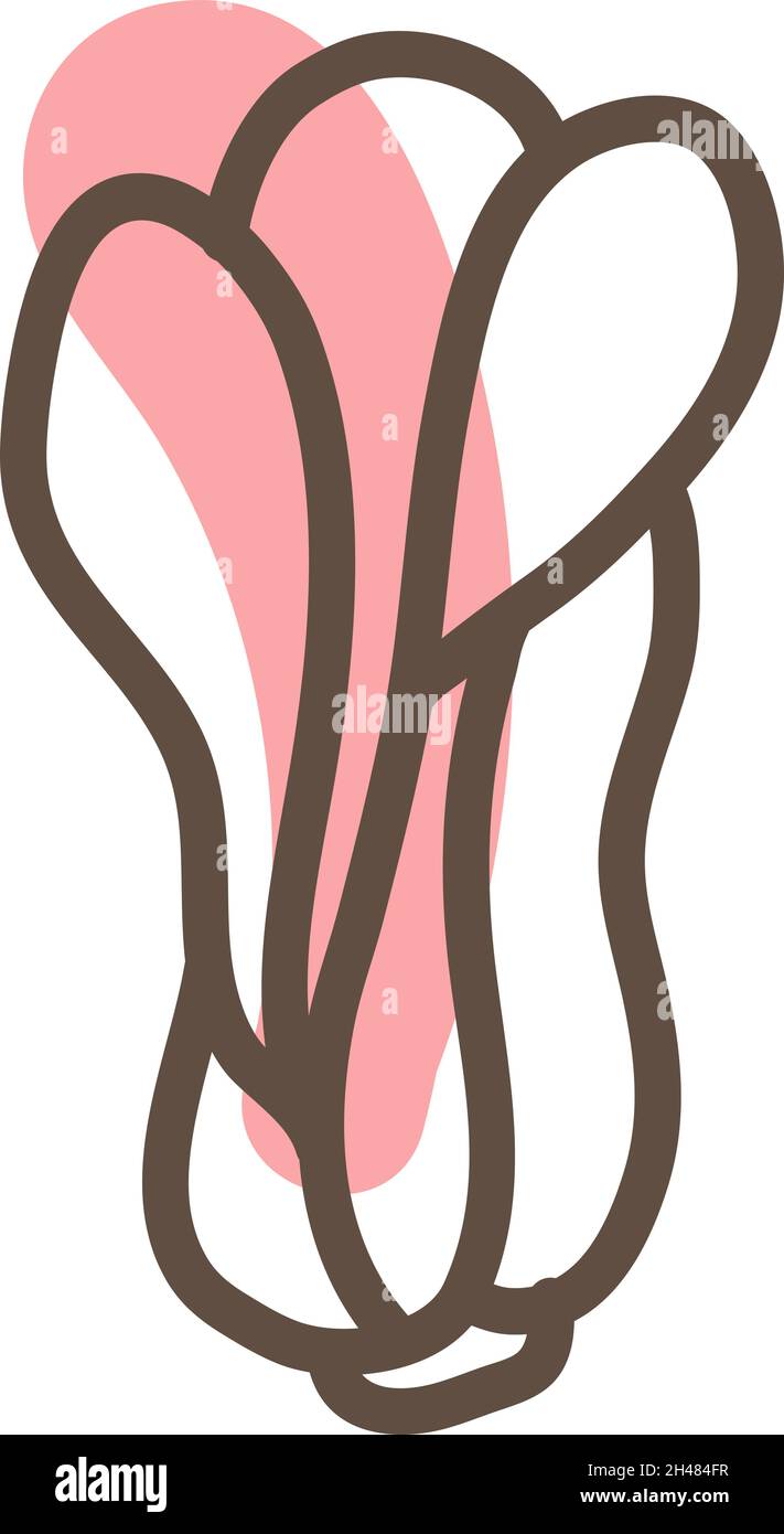 Salade verte, illustration, vecteur, sur fond blanc. Illustration de Vecteur