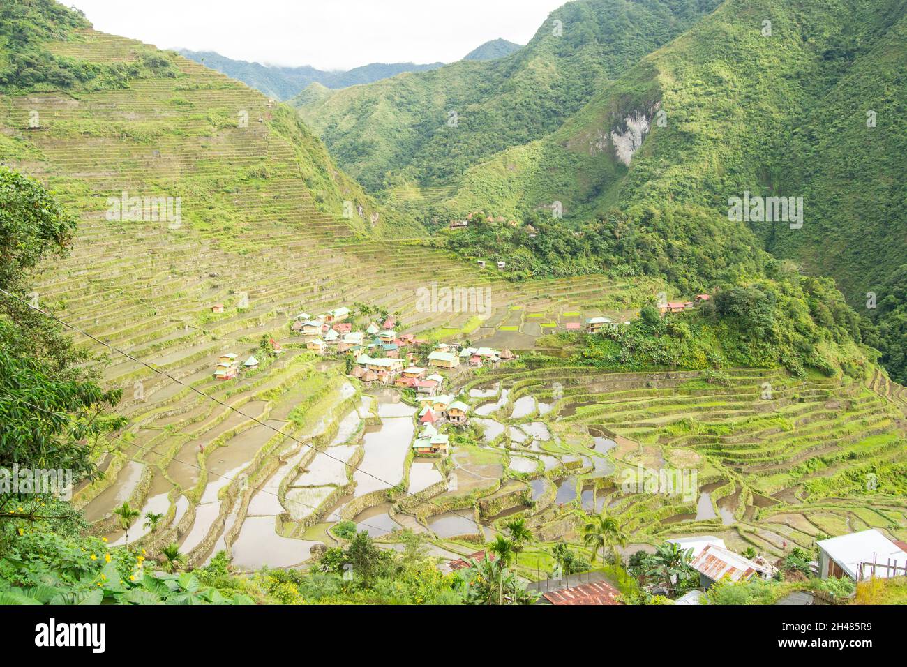 Terrasses rizicoles pittoresques de Batad, site classé au patrimoine mondial de l'UNESCO à Banaue, Ifugao, Philippines Banque D'Images