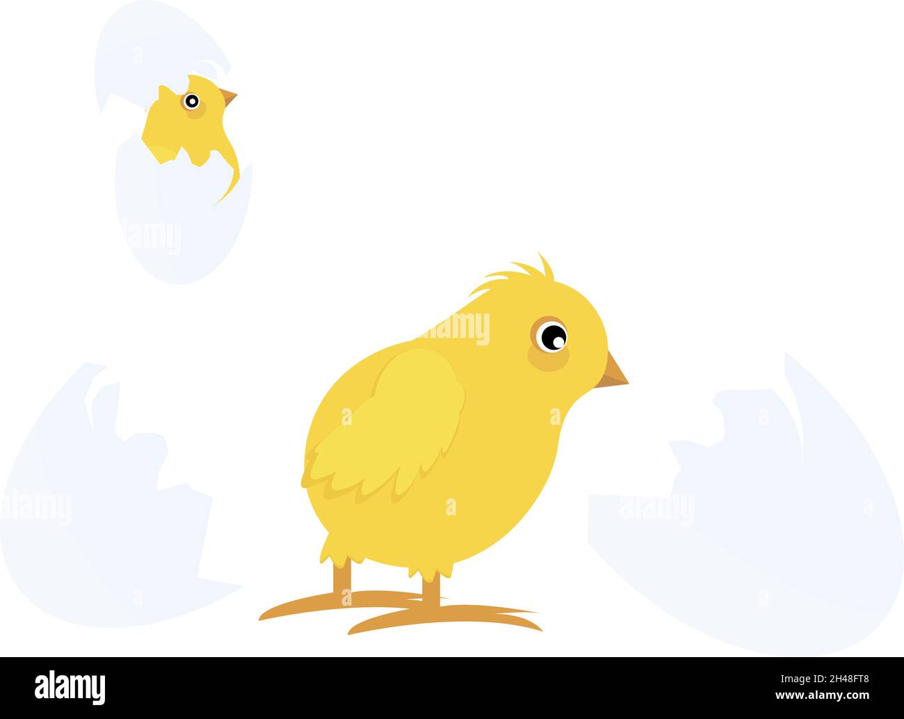 Poussin d'un œuf, illustration, vecteur sur fond blanc. Illustration de Vecteur Poussin d'un œuf, illustration, vecteur sur fond blanc. Illustration de Vecteur