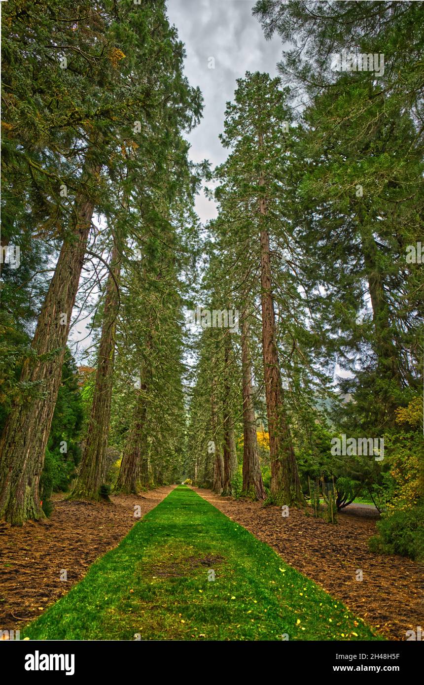 Benmore Botanic Garden Banque D'Images