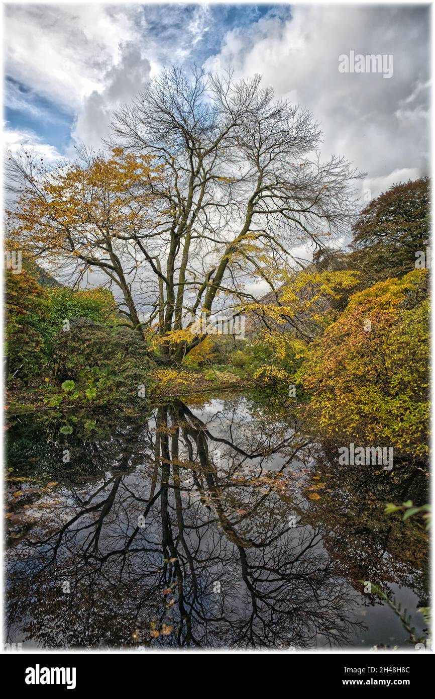 Benmore Botanic Garden Banque D'Images