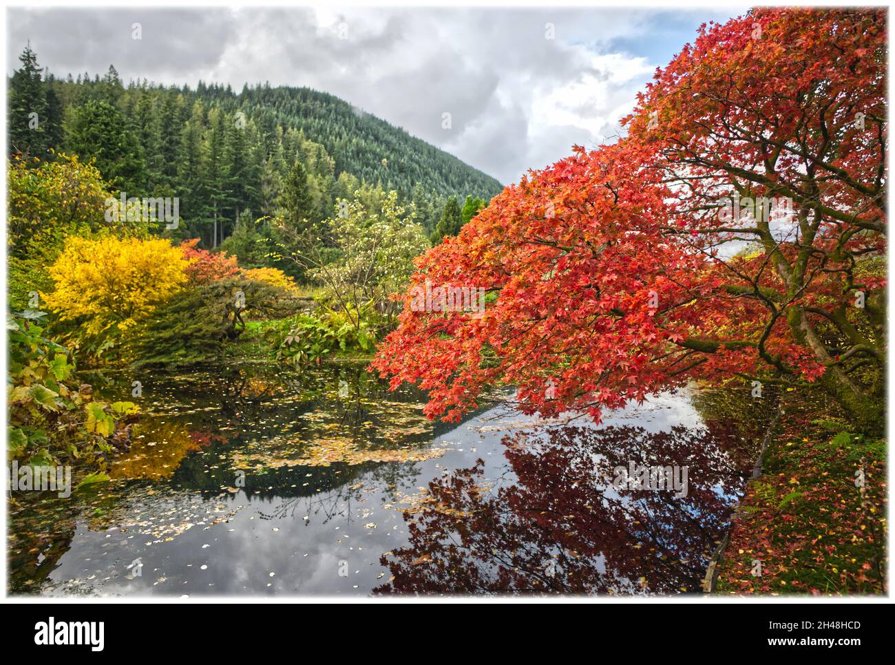 Benmore Botanic Garden Banque D'Images