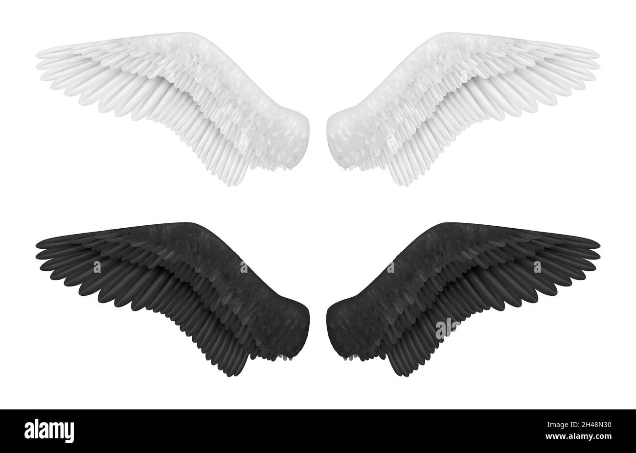 Ailes blanches et noires.Ailes d'ange et de démon oiseaux plumes gothic volants symboles décents vecteur images réalistes Illustration de Vecteur