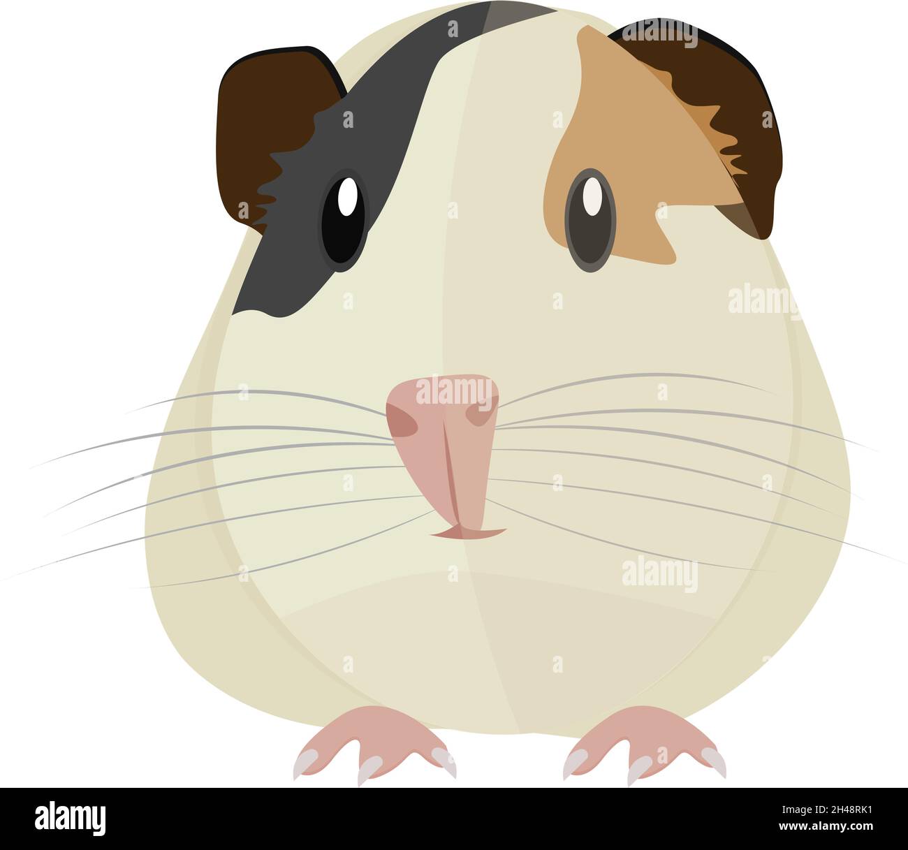 Cobaye, illustration, vecteur sur fond blanc. Illustration de Vecteur