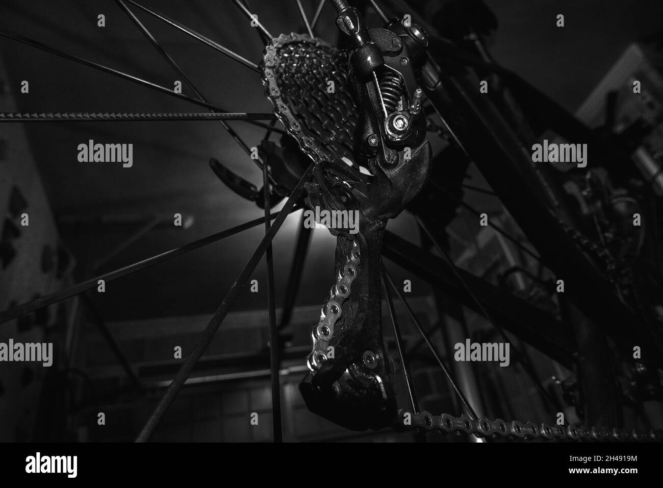 Entretien de vélo avec un vélo sur un stand dans un garage regardant la roue arrière, la chaîne et le chainset Banque D'Images