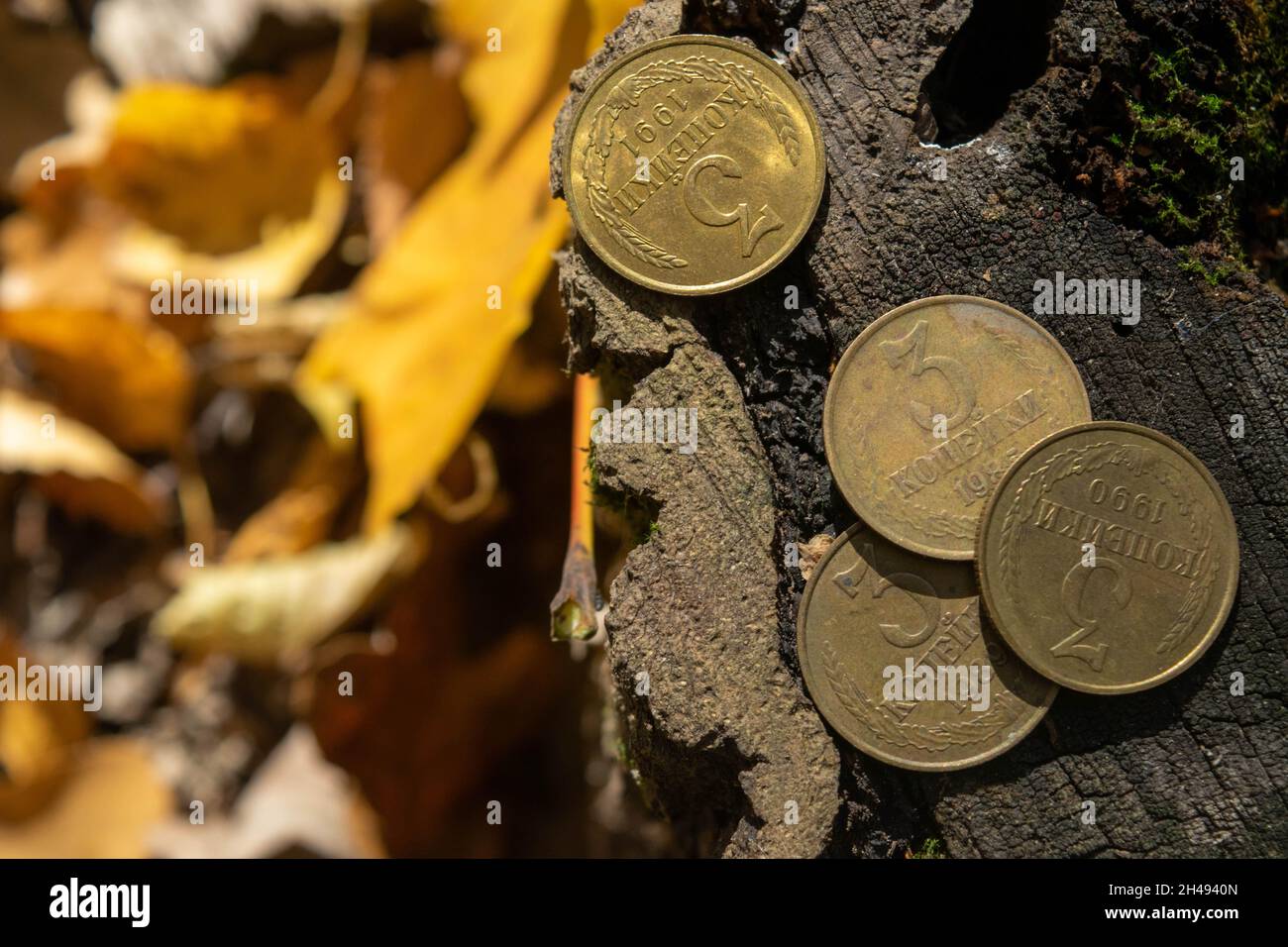 Vieilles pièces de monnaie dans la forêt sur la souche d'un vieux arbre Banque D'Images