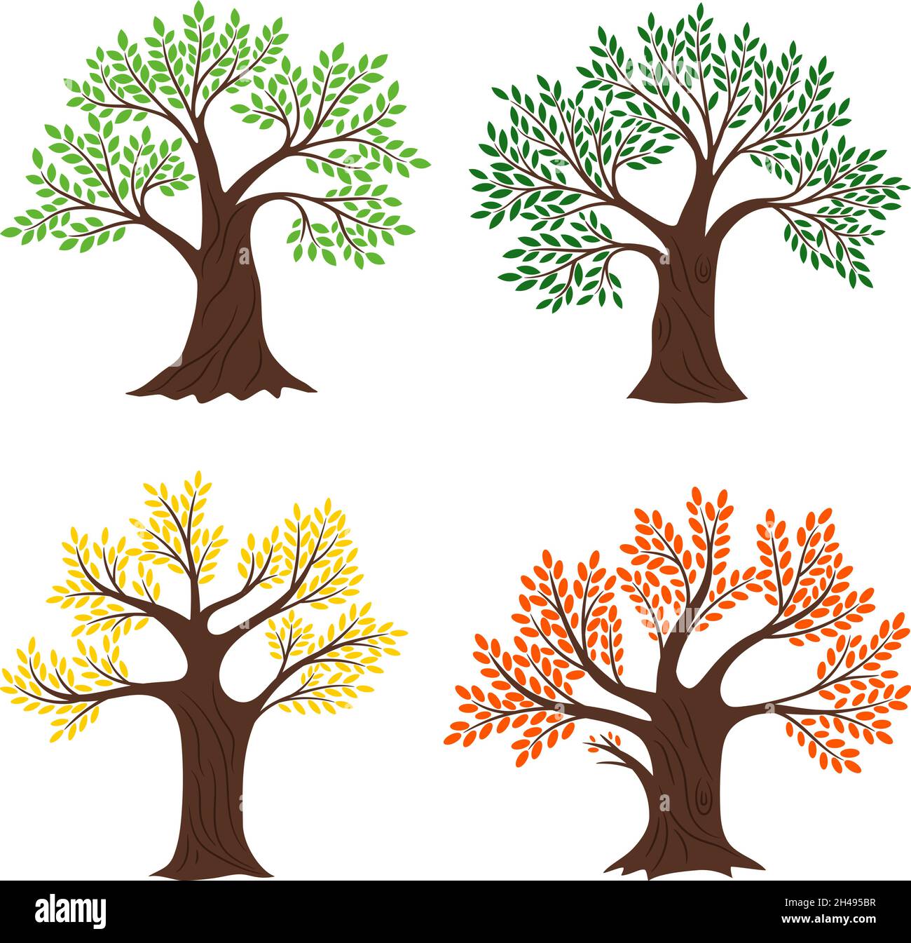 Arbres de quatre saisons.Vecteur arbre saisonnier ensemble de vecteur illustrations, beau printemps naturel automne été jardin plantes en bois assaisonnées isolées sur fond blanc Illustration de Vecteur