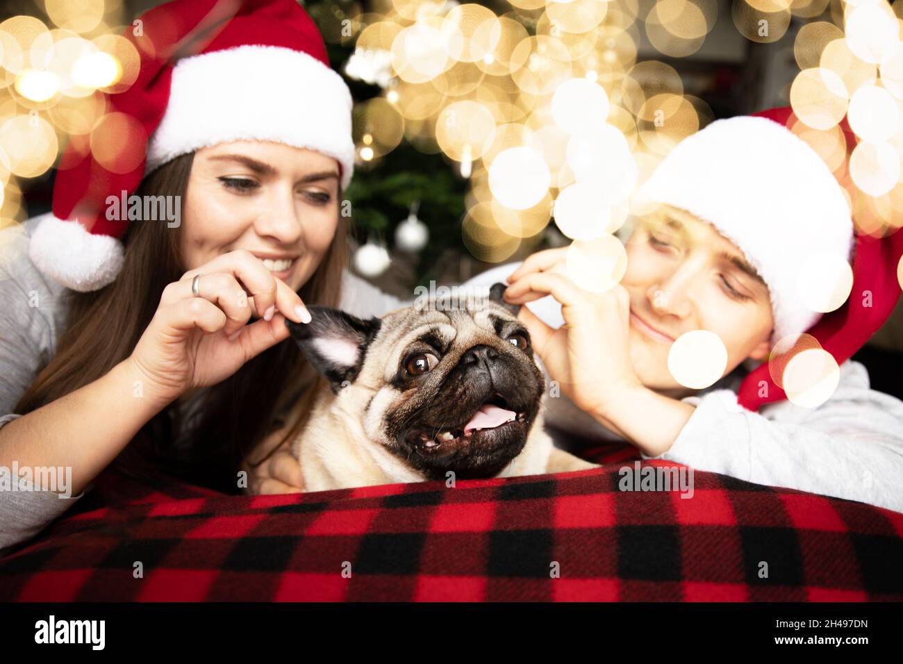 Jeune couple marié homme et femme à Santa chapeaux se trouvent sur leurs estomacs sur le canapé par beau arbre de Noël.Entre eux est leur chien drôle d'animal de compagnie de Banque D'Images