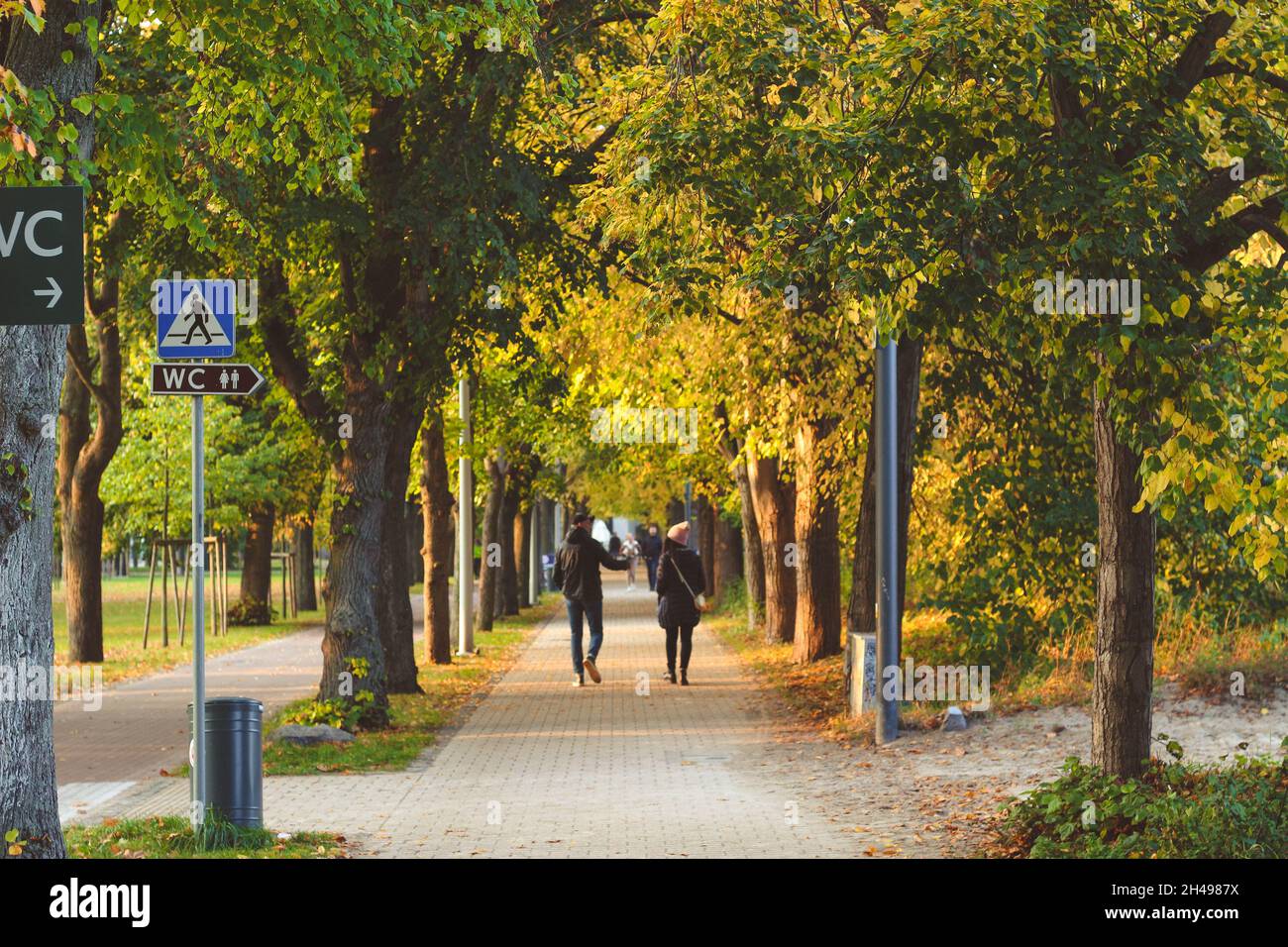 Parc aux couleurs de l'automne.Sopot, Pologne. Banque D'Images