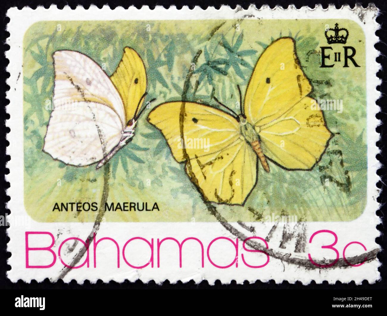 BAHAMAS - VERS 1975: Un timbre imprimé aux Bahamas montre le soufre incliné (anteos maerula), est un papillon trouvé du Pérou au Mexique, vers 1975 Banque D'Images