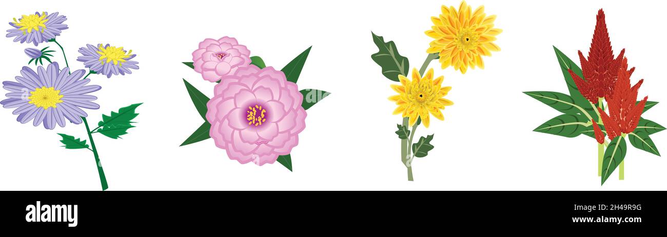 Les fleurs fleurissent dans l'Aster d'automne, Camilia, Chrysanthemum, Celosia Illustration de Vecteur