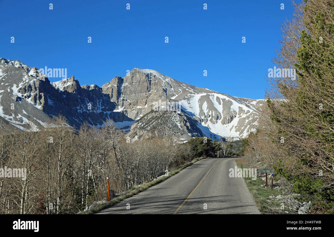Route panoramique dans le parc national de Great Basin, Nevada Banque D'Images
