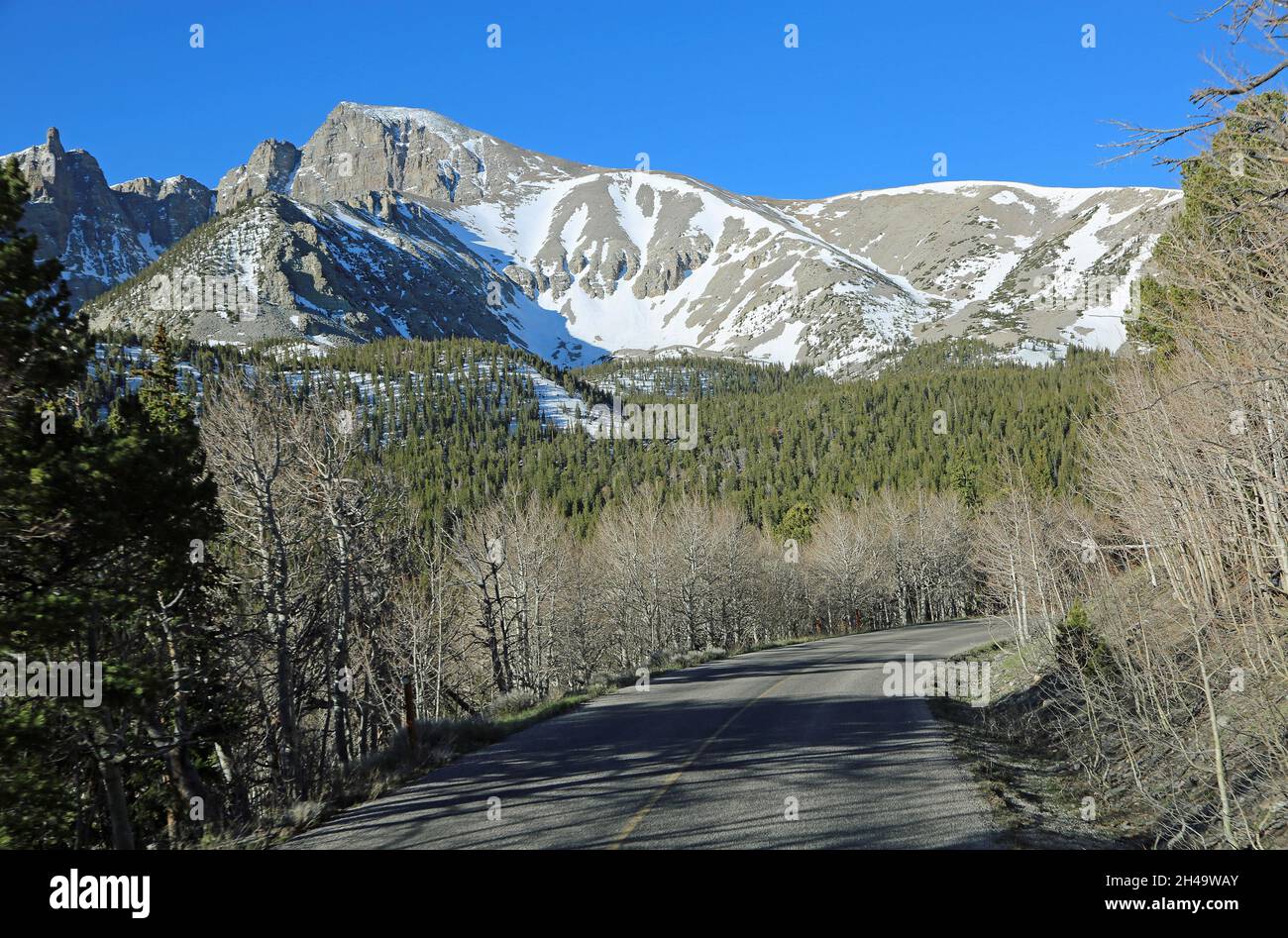 Wheeler Peak et The Curve, parc national de Great Basin, Nevada Banque D'Images