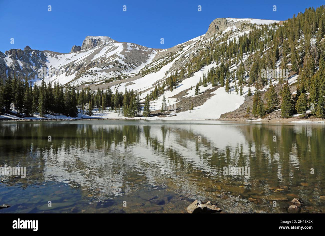 Réflexion au lac Stella, parc national de Great Basin, Nevada Banque D'Images