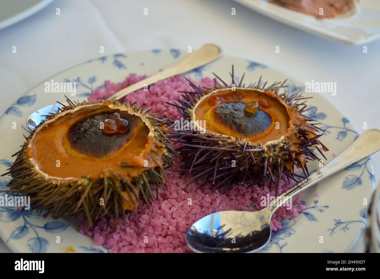 Oursin gratiné - fruits de mer en Espagne Banque D'Images