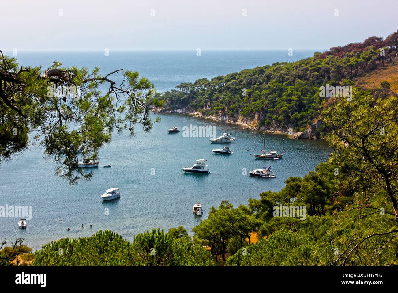 Bateau nautique mer transport mode de transport plante vue grand angle arbre nature horizon sur l'eau horizon scéniques - nature beauté i Banque D'Images