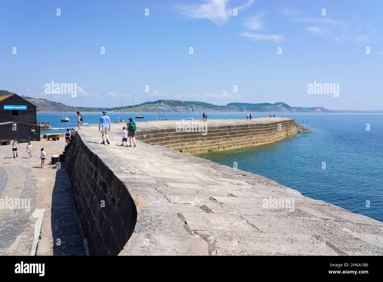 Lyme regis Jurassic côte personnes marchant sur le mur de la mer à la Cobb Lyme Regis Dorset Angleterre GB Europe Banque D'Images