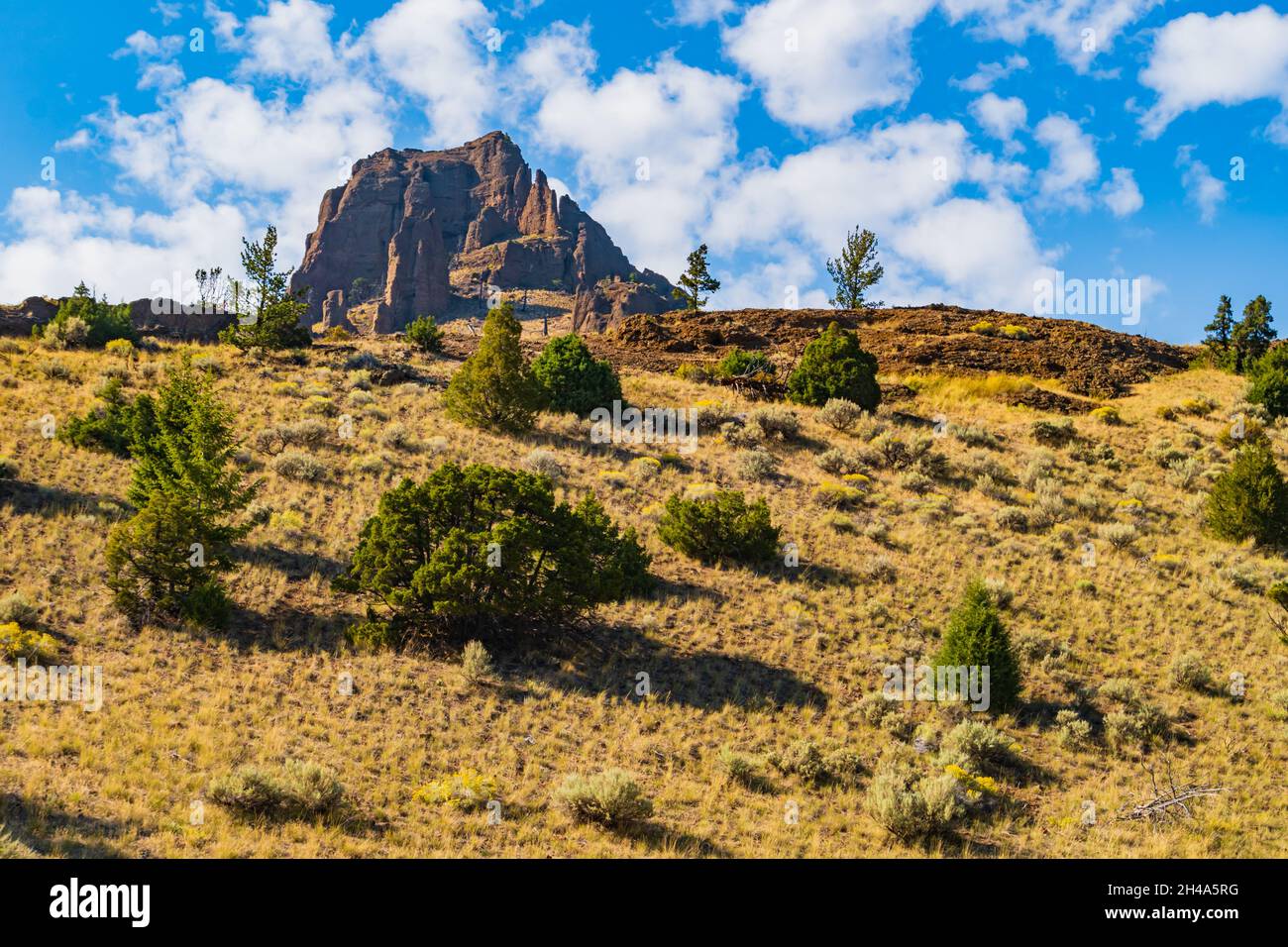 Paysage le long de la rivière Shoshone dans le Wyoming, États-Unis Banque D'Images