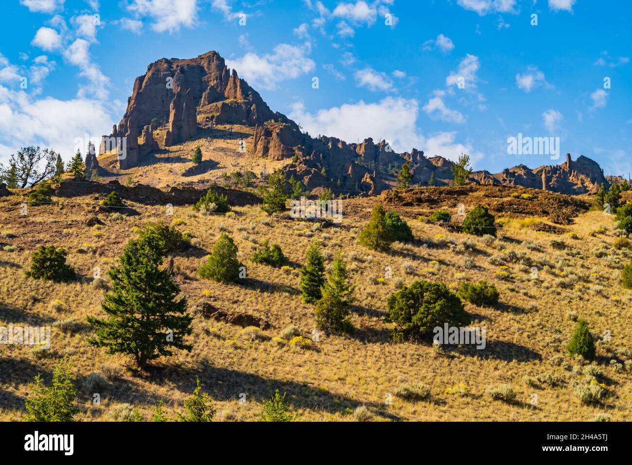 Paysage le long de la rivière Shoshone dans le Wyoming, États-Unis Banque D'Images