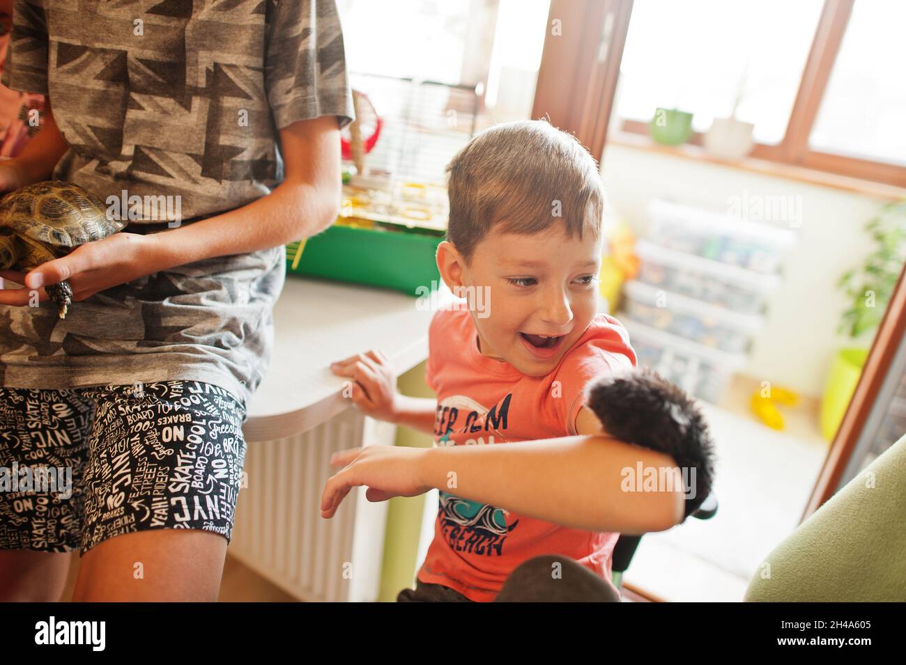 Quatre enfants tiennent leurs animaux préférés dans les mains.Enfants jouant avec un hamster, une tortue et des perroquets à la maison. Banque D'Images