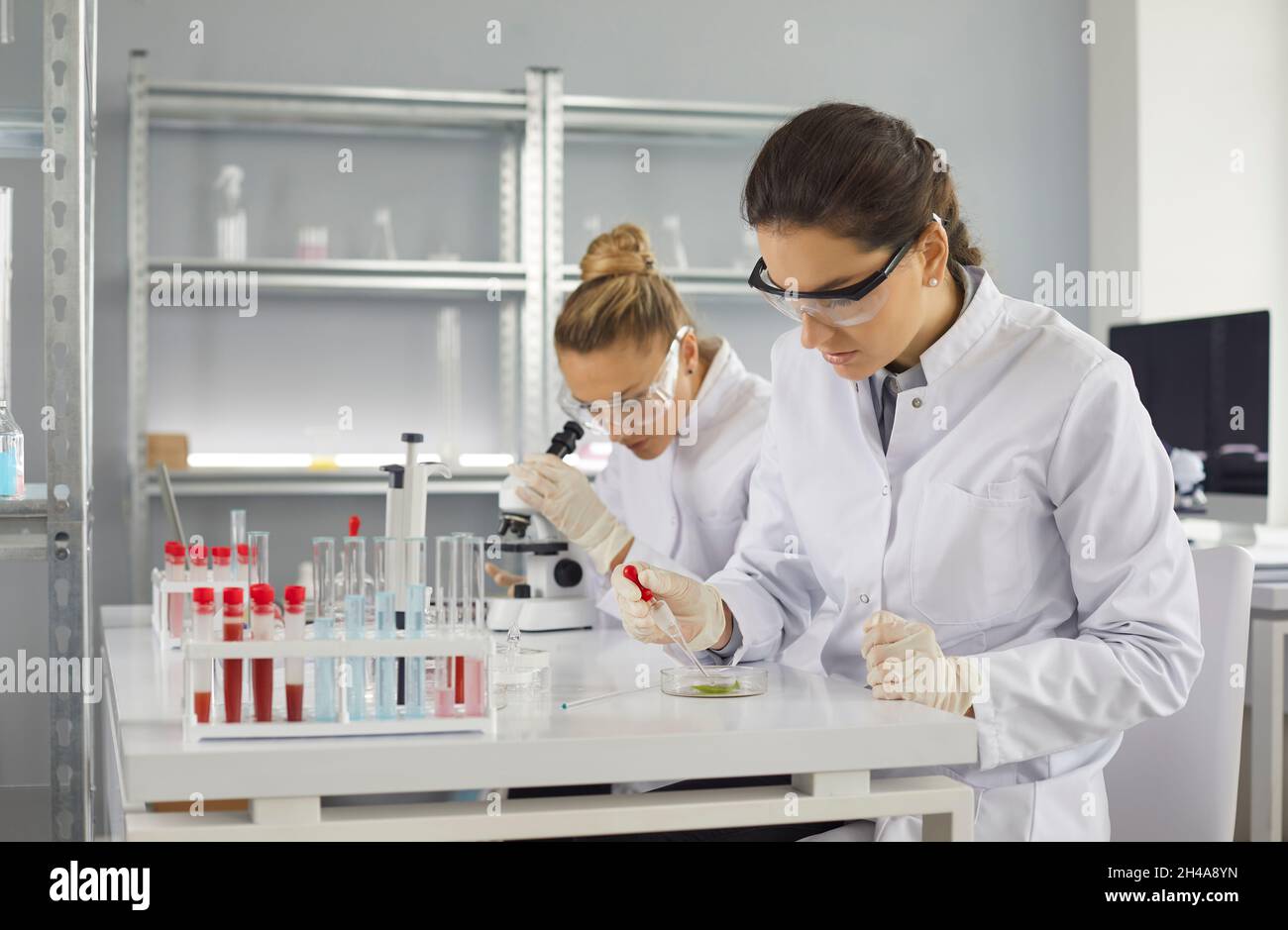 Deux virologues caucasiens travaillent ensemble et font de la recherche dans un laboratoire médical. Banque D'Images