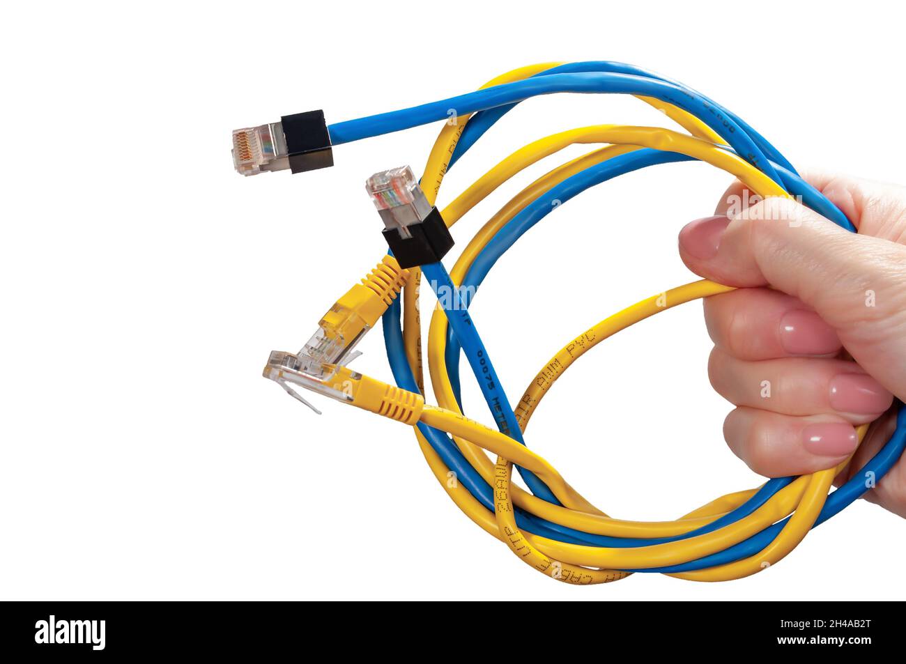 Câbles Ethernet bleus et jaunes dans la main des femmes isolés sur fond blanc. Ensemble de câbles d'interface d'ordinateur Ethernet de différentes couleurs Banque D'Images