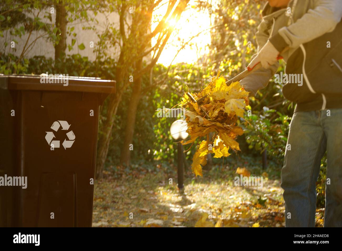 Nettoyage des feuilles dans le jardin.Râtelage d'automne de feuilles en chute.Le jardinier au travail. Banque D'Images