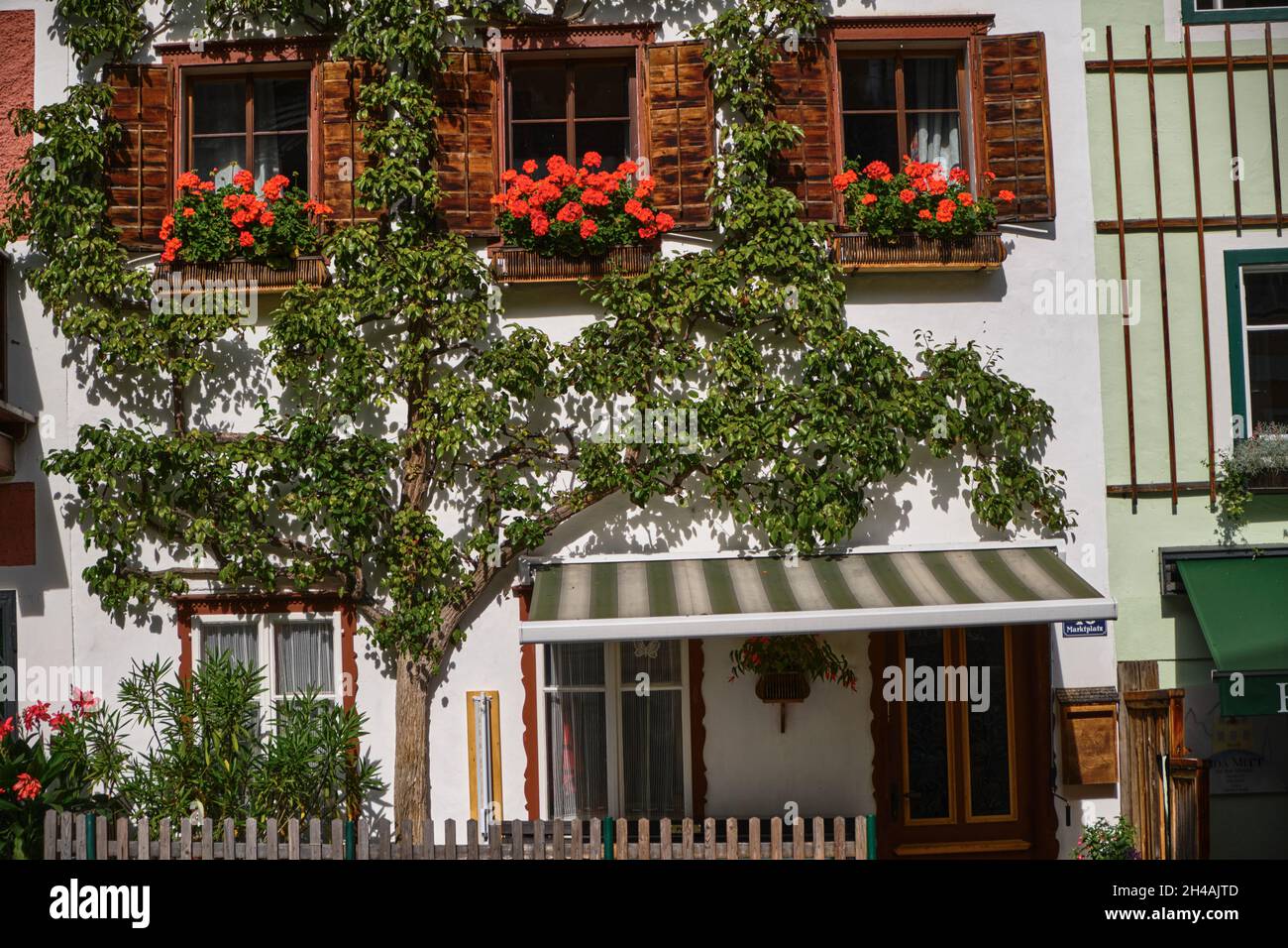 Détail de la façade de bâtiment avec un poirier taillé dans le célèbre site du patrimoine mondial Hallstatt, haute-Autriche dans la région de Salzkammergu, automne Banque D'Images