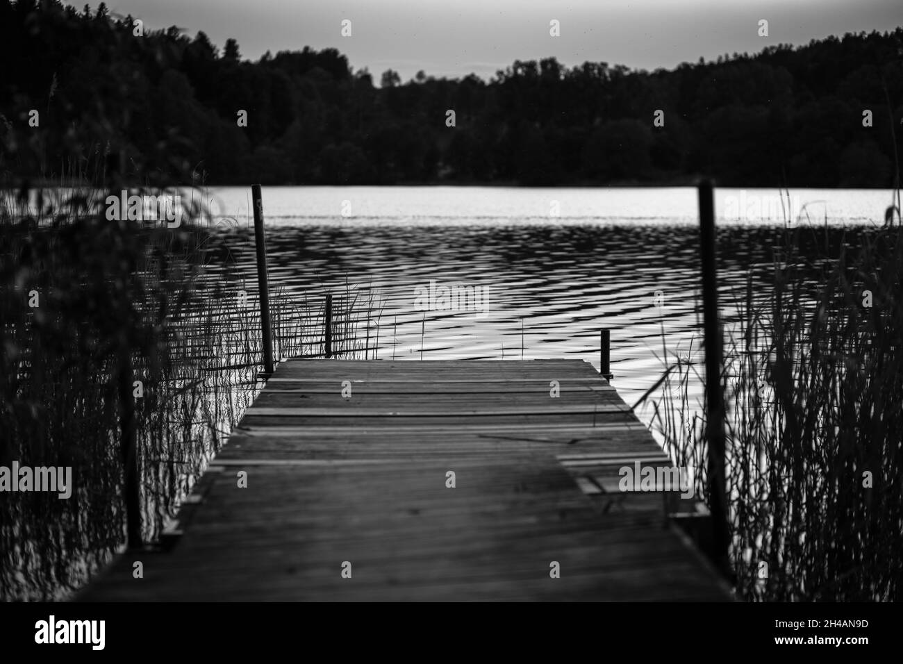 Une photo noire et blanche d'une pile de bois mène au lac Banque D'Images