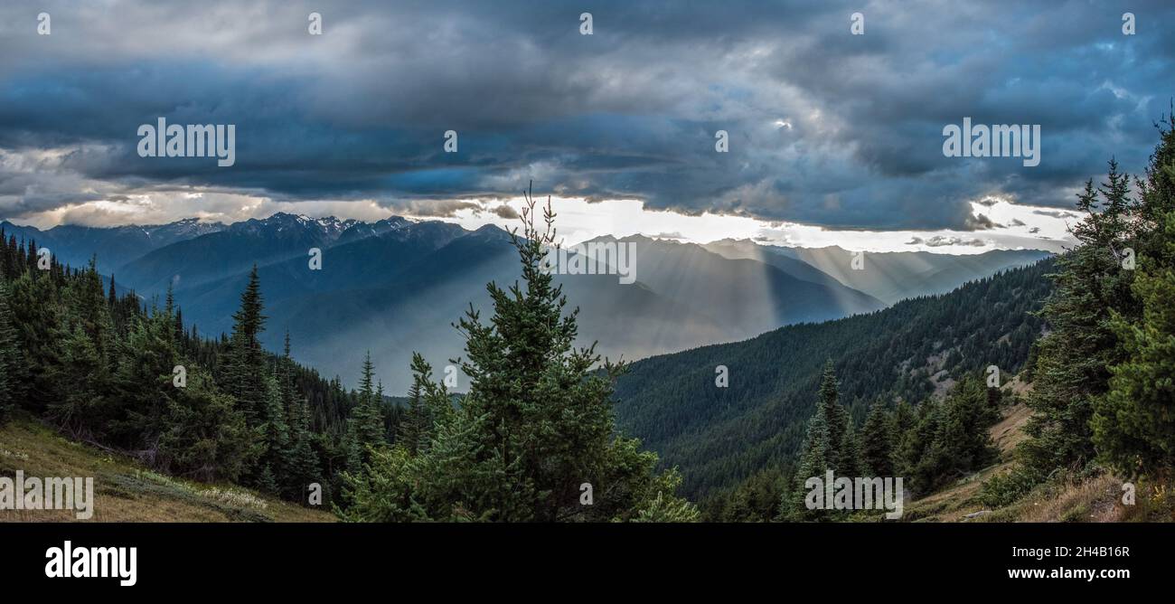 Paysage alpin dans le parc national olympique, État de Washington, États-Unis Banque D'Images