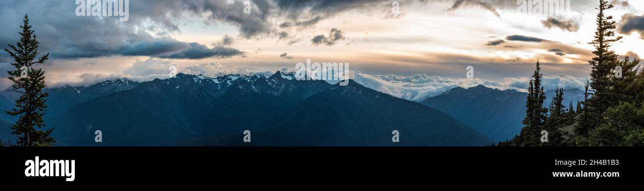 Paysage alpin dans le parc national olympique, État de Washington, États-Unis Banque D'Images