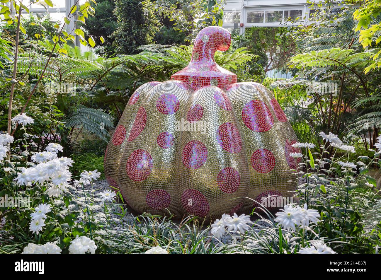 Bronx, NY - octobre 28,2021 : JARDIN BOTANIQUE de NY.Ici, Starry Pumpkin Banque D'Images