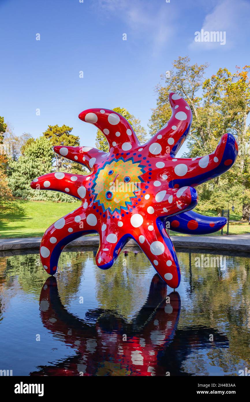 Bronx, NY - octobre 28,2021 : JARDIN BOTANIQUE de NY.Ici, je veux voler vers l'univers. Banque D'Images