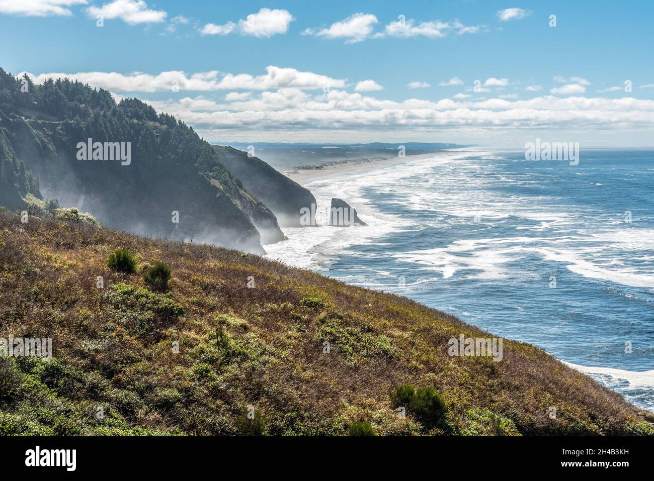 Paysage côtier intact de l'Oregon, États-Unis Banque D'Images