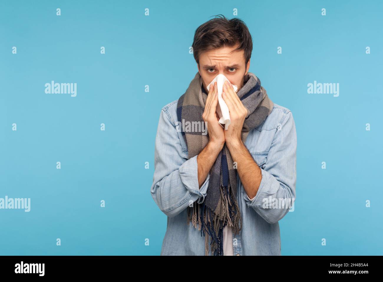 Portrait d'un homme en chemise denim et foulard chaud toussant éternuant fort dans la serviette, se sentant mal avec le nez qui coule, allergie saisonnière sévère, symptômes de la grippe.Studio d'intérieur isolé sur fond bleu. Banque D'Images