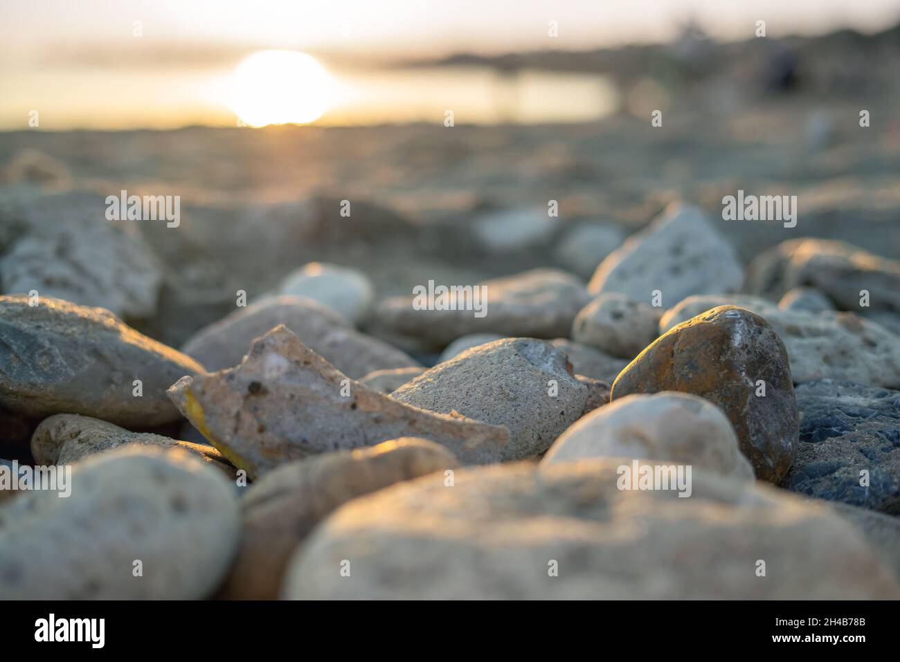 Gros plan de diverses pierres à gros grain sur la plage Banque D'Images