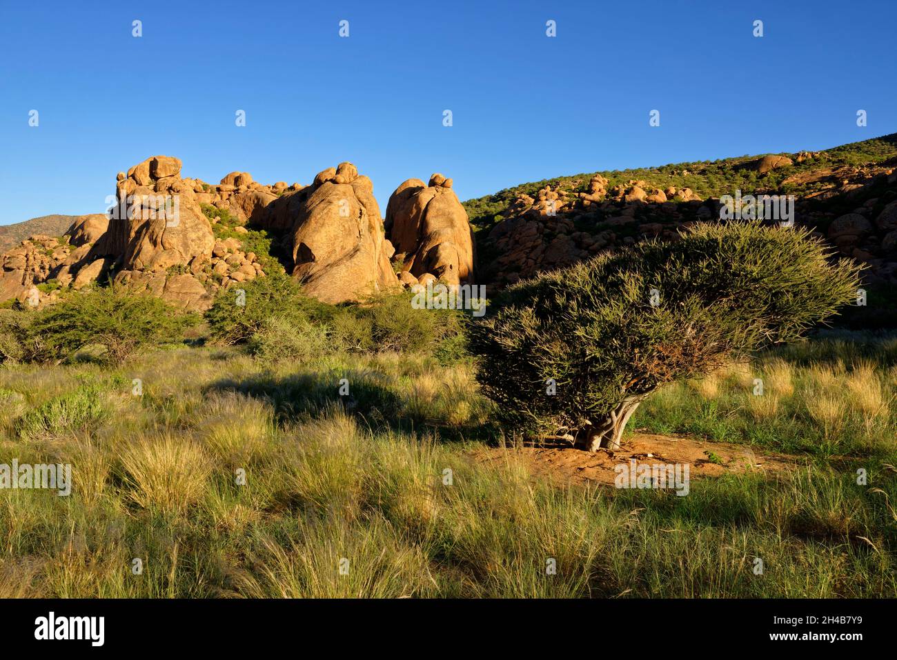 Ferme Omandumba (ferme d'hôtes): Rochers de granit (formation de roc 'trois éléphants') dans les montagnes d'Erongo, près d'Omaruru, région d'Erongo, Namibie Banque D'Images