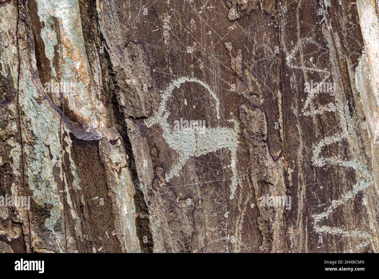 Un dessin de silhouette d'une chèvre sculpté dans le détail sur une pierre par un auteur de longue date et bien conservé à ce jour Banque D'Images