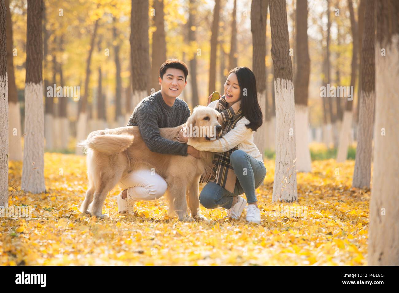 Les jeunes amoureux et leur chien de compagnie jouant dans les bois en automne Banque D'Images