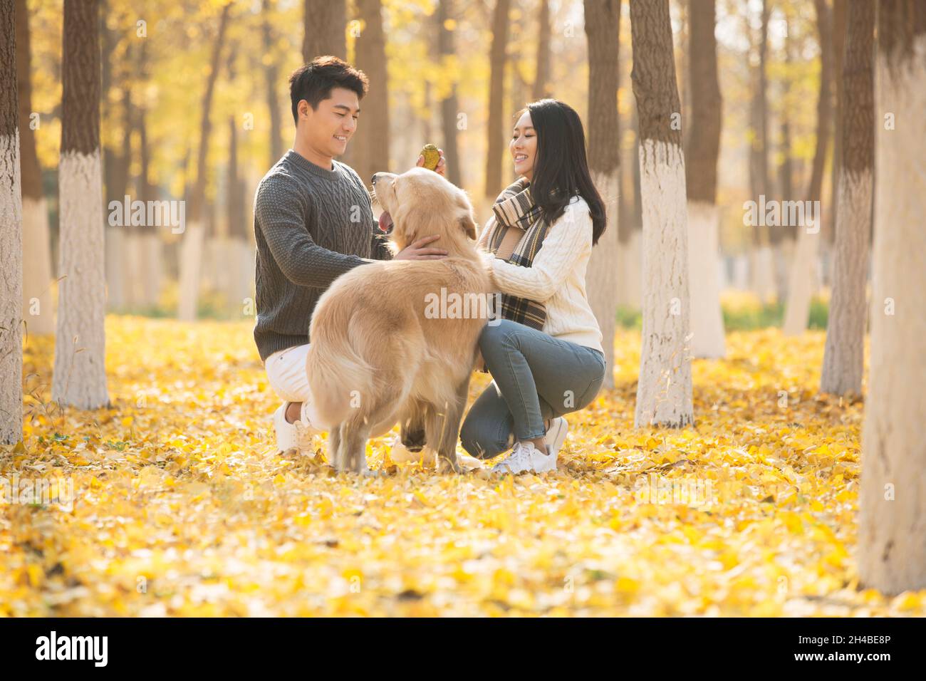 Les jeunes amoureux et leur chien de compagnie jouant dans les bois en automne Banque D'Images