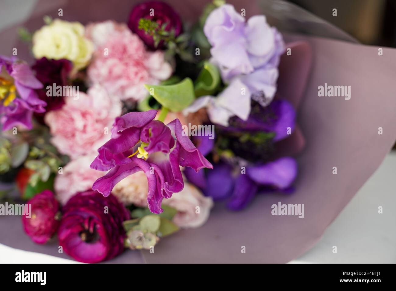 Aménagement créatif de fleurs et de feuilles.Le concept de la nature.Une carte avec des fleurs.Arrière-plan de fleur coloré et espace de texte. Banque D'Images