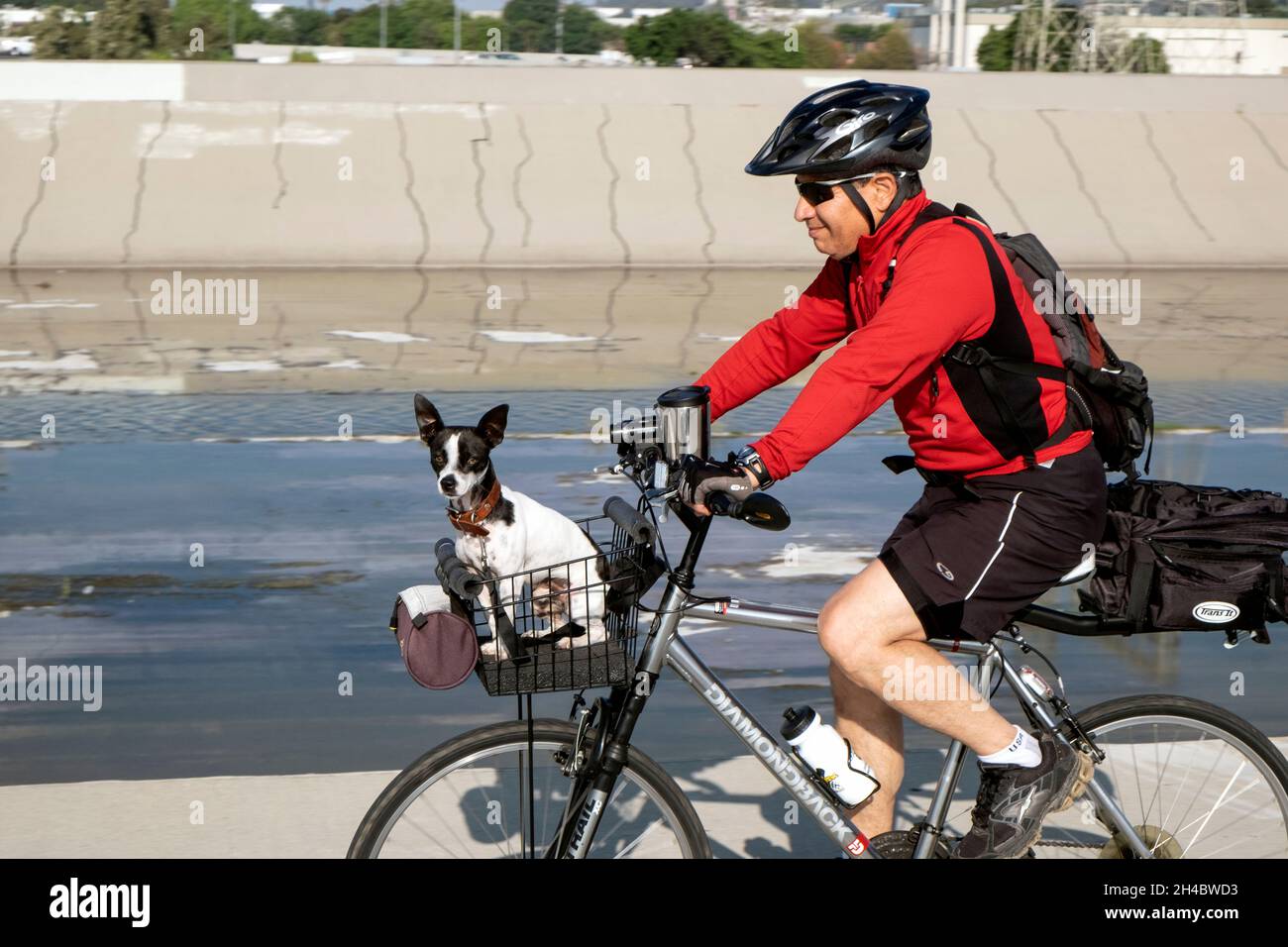 Homme à vélo avec son chien sur la piste cyclable de Rio Hondo à Arcadia, Californie Banque D'Images